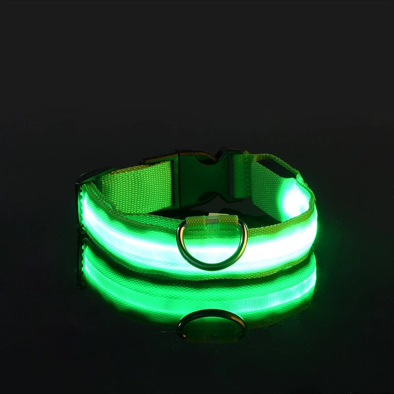 Nylon LED Segurança Noturna Piscando Brilho no Escuro Coleira de Cachorro Cães Luminoso Fluorescente Coleira de Cachorro