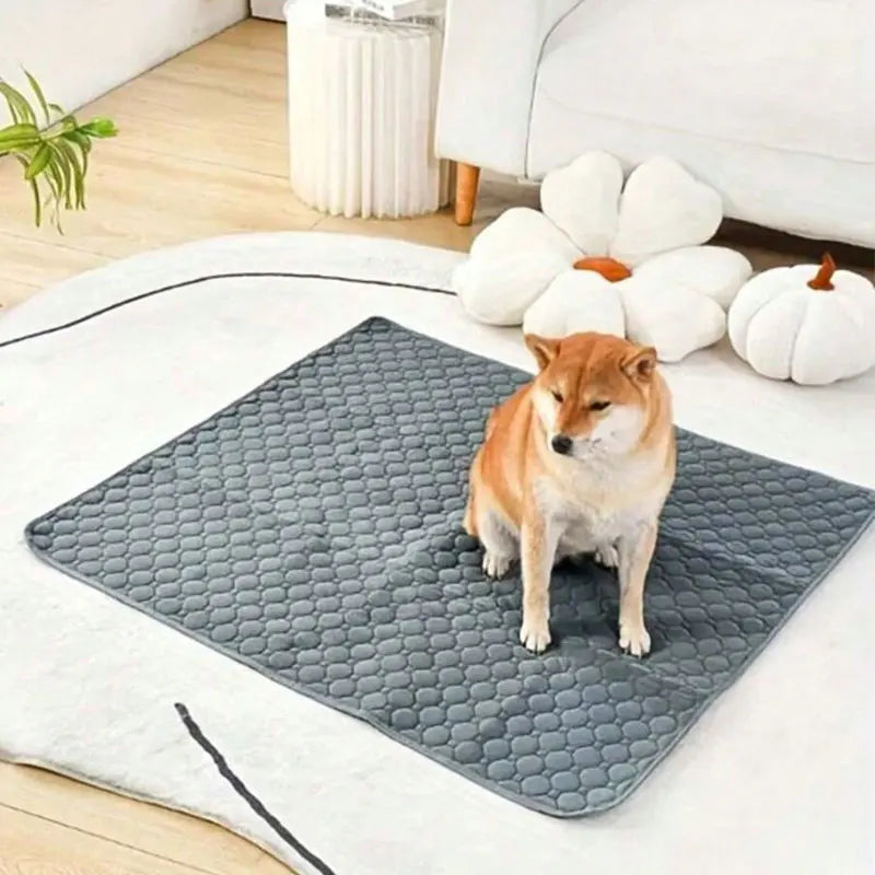 Almofada de xixi para cães reutilizável lavável tapete de urina para cães assento de carro sofá de chão absorvente à prova d'água para filhote de cachorro tapete de fraldas de treinamento para animais de estimação suprimentos para animais de estimação